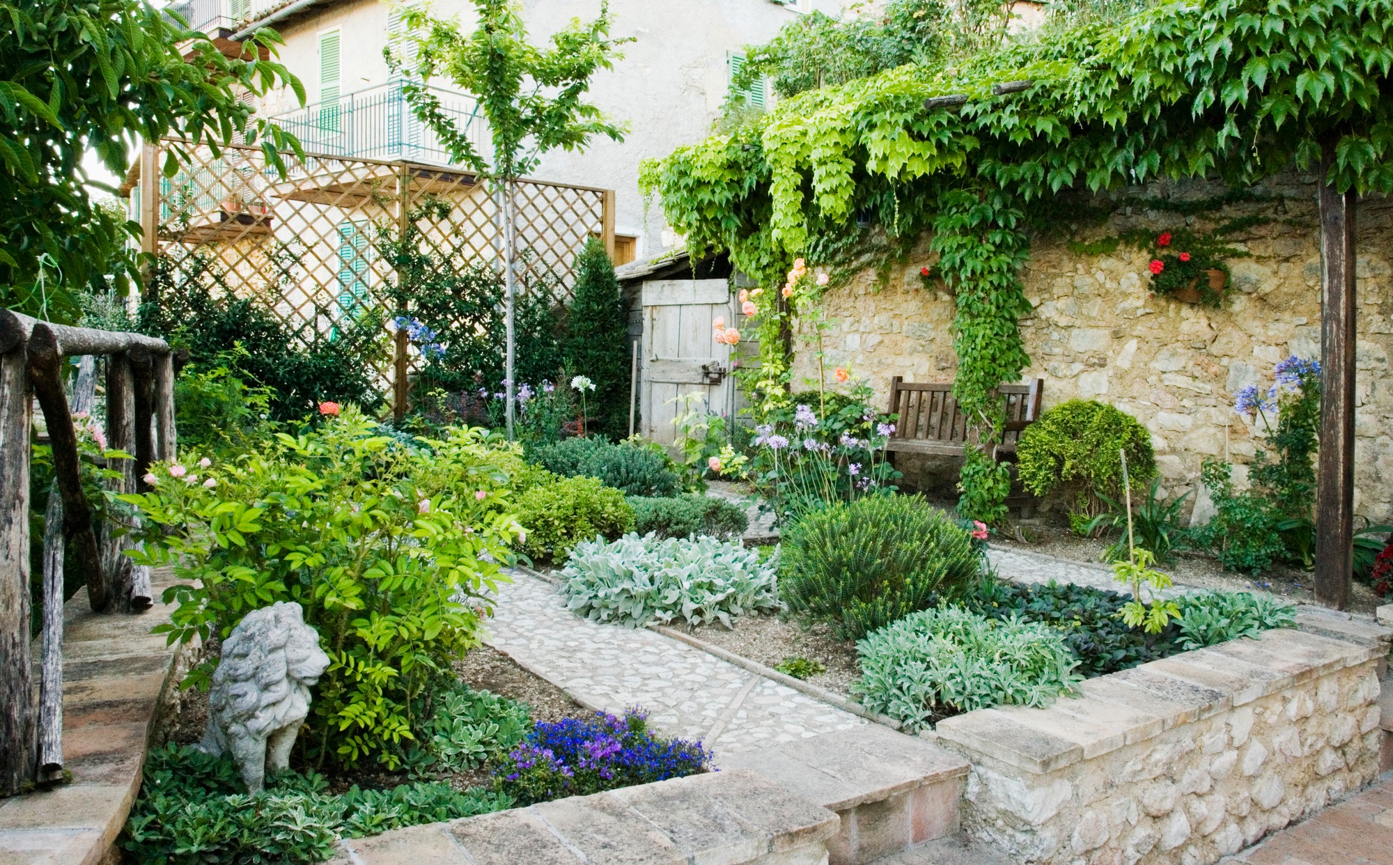 Backyard Garden