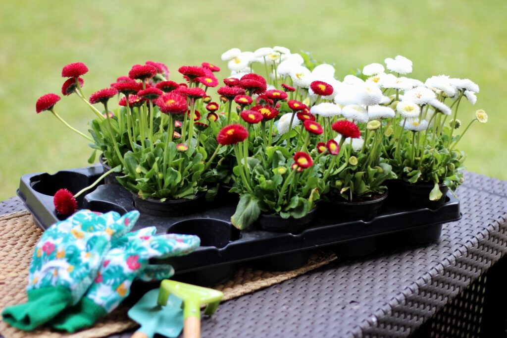 Gardening,flower.